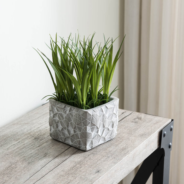 Primrue 5'' Artificial Reed Plant in Pot & Reviews Wayfair